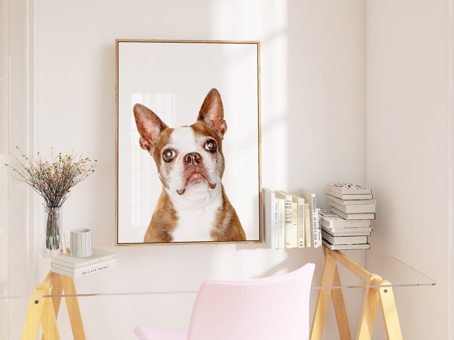 fine art pet portraits dog photography home decor