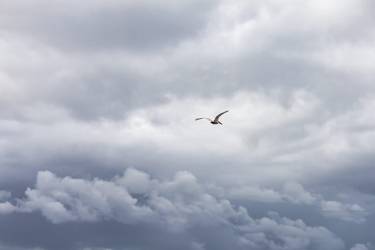 Fine art photography Moody skies